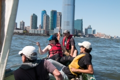 Sailing 72917-16